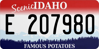 ID license plate E207980