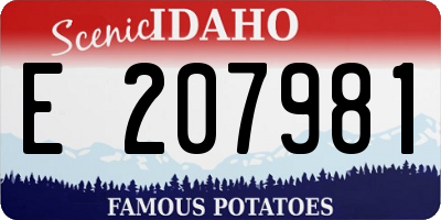 ID license plate E207981