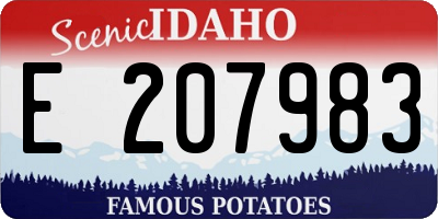ID license plate E207983