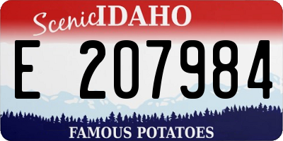 ID license plate E207984