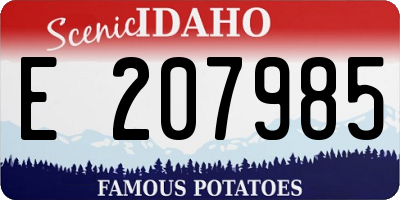 ID license plate E207985