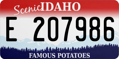 ID license plate E207986