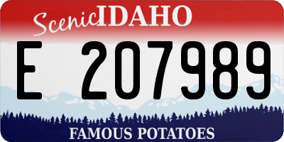 ID license plate E207989