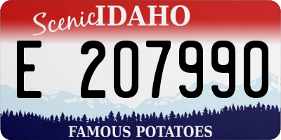 ID license plate E207990