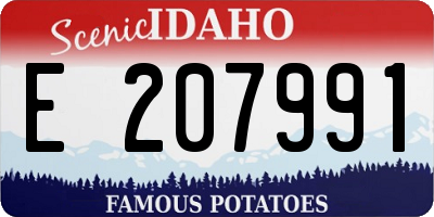 ID license plate E207991