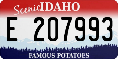 ID license plate E207993