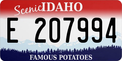 ID license plate E207994