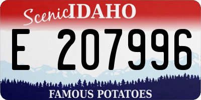 ID license plate E207996