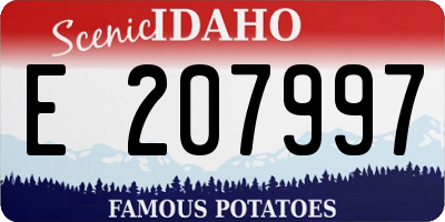 ID license plate E207997