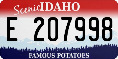 ID license plate E207998