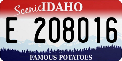 ID license plate E208016