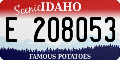 ID license plate E208053