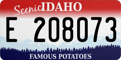 ID license plate E208073