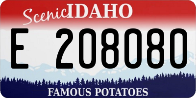 ID license plate E208080