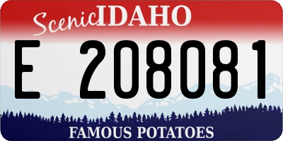 ID license plate E208081