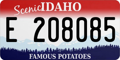 ID license plate E208085