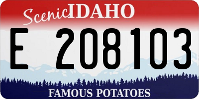 ID license plate E208103