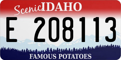 ID license plate E208113