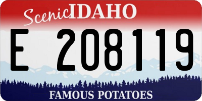 ID license plate E208119