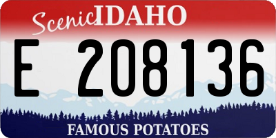 ID license plate E208136