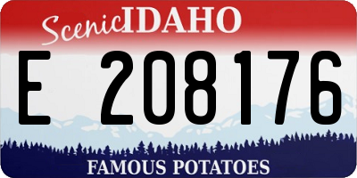 ID license plate E208176