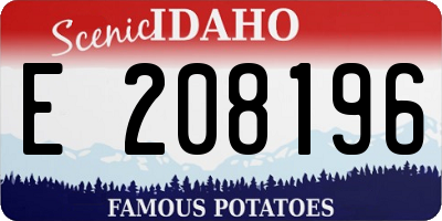 ID license plate E208196