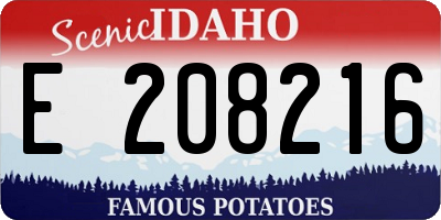 ID license plate E208216