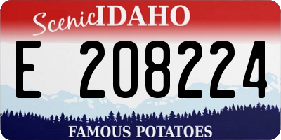 ID license plate E208224