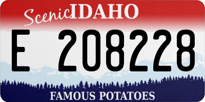 ID license plate E208228