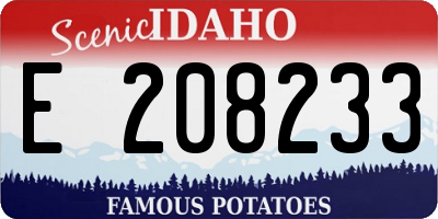 ID license plate E208233