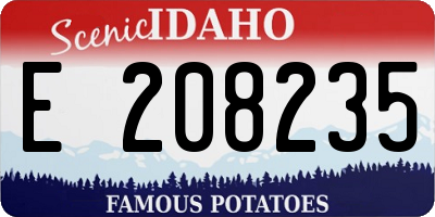 ID license plate E208235