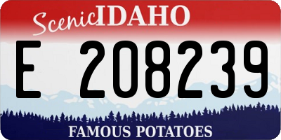ID license plate E208239