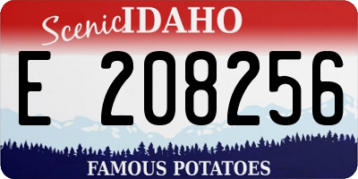 ID license plate E208256