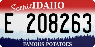 ID license plate E208263
