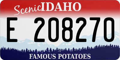 ID license plate E208270