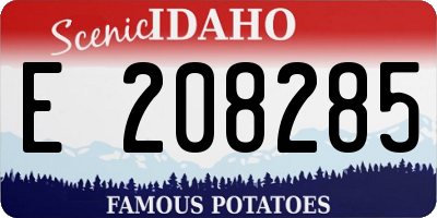 ID license plate E208285