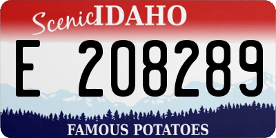 ID license plate E208289
