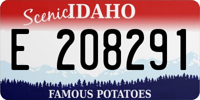 ID license plate E208291