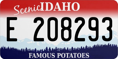 ID license plate E208293