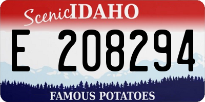 ID license plate E208294