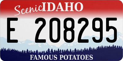 ID license plate E208295