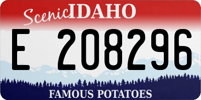 ID license plate E208296