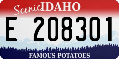 ID license plate E208301