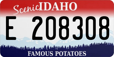 ID license plate E208308