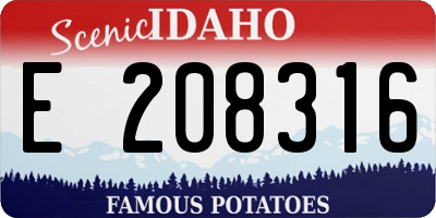 ID license plate E208316
