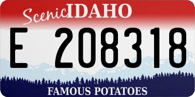 ID license plate E208318