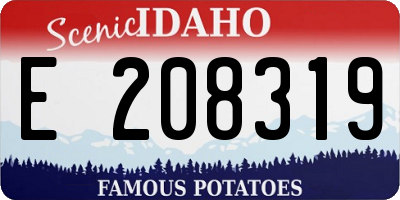 ID license plate E208319
