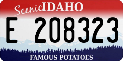 ID license plate E208323