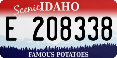 ID license plate E208338