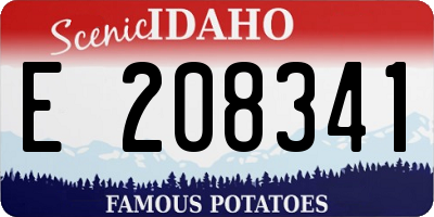 ID license plate E208341